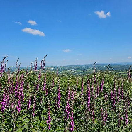 Summit Camping Kit Hill Cornwall Panoramic Views Grass Pitch From 15Pn Or Bella Bell Tent 75Pn Callington Екстер'єр фото