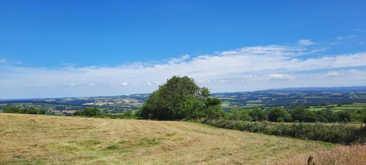 Summit Camping Kit Hill Cornwall Panoramic Views Grass Pitch From 15Pn Or Bella Bell Tent 75Pn Callington Екстер'єр фото