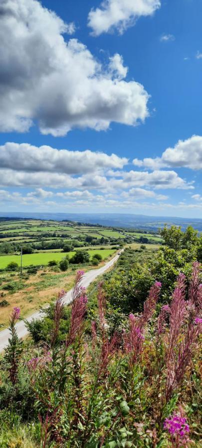 Summit Camping Kit Hill Cornwall Panoramic Views Grass Pitch From 15Pn Or Bella Bell Tent 75Pn Callington Екстер'єр фото